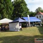 zdjęcie nr 62