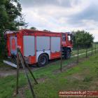 Fotka nr 1 z 2