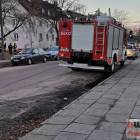 Fotka nr 1 z 4