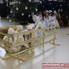 zdjęcie nr 17