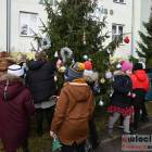 zdjęcie nr 10