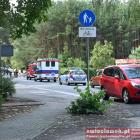 zdjęcie nr 80