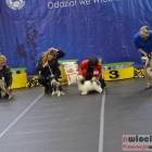 zdjęcie nr 137