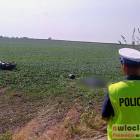 Fotka nr 1 z 2