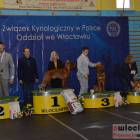 zdjęcie nr 122