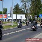 zdjęcie nr 280