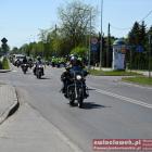 zdjęcie nr 162