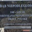Fotka nr 0 z 117