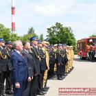 zdjęcie nr 41