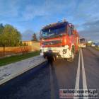Fotka nr 4 z 10