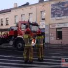 Fotka nr 5 z 10