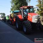 zdjęcie nr 24