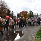 zdjęcie nr 65