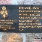 zdjęcie nr 49