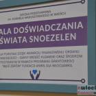 Fotka nr 2 z 71