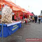 zdjęcie nr 41