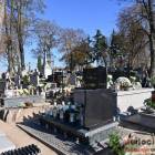 zdjęcie nr 31