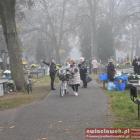 zdjęcie nr 28