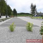 zdjęcie nr 75