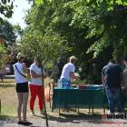 zdjęcie nr 14