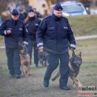 zdjęcie nr 15
