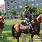 zdjęcie nr 42