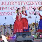 zdjęcie nr 14