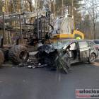 Fotka nr 1 z 3