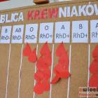 Fotka nr 1 z 19