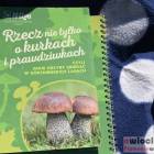 zdjęcie nr 116