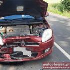 Fotka nr 2 z 8