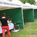 zdjęcie nr 35