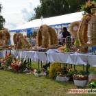 zdjęcie nr 130