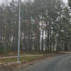 zdjęcie nr 9