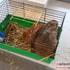 zdjęcie nr 30