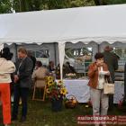zdjęcie nr 46