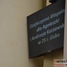 zdjęcie nr 36
