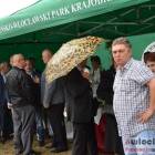 zdjęcie nr 99
