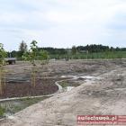 zdjęcie nr 37