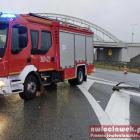 Fotka nr 5 z 6