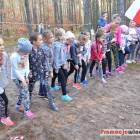 zdjęcie nr 27