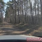 zdjęcie nr 15