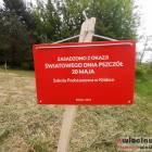 zdjęcie nr 20