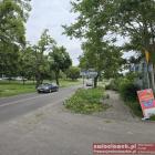 zdjęcie nr 14