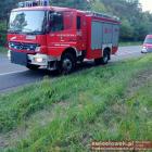 Fotka nr 5 z 6