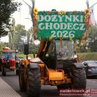 zdjęcie nr 37
