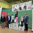 zdjęcie nr 13
