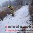 Fotka nr 2 z 5