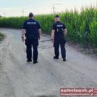 Fotka nr 4 z 5
