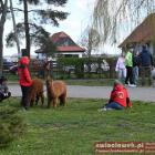 zdjęcie nr 20